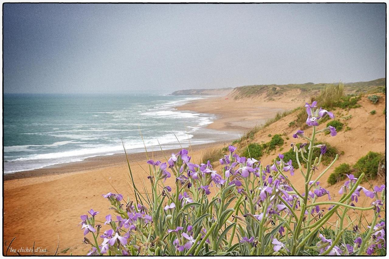L'Appart Du Palais A 150M De La Grande Plage Les Sables-dʼOlonne Dış mekan fotoğraf